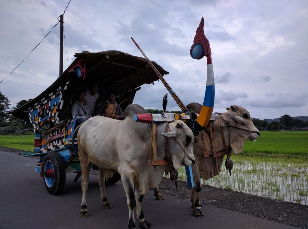 Joglo Ayem Tentrem Prambanan Luaran gambar